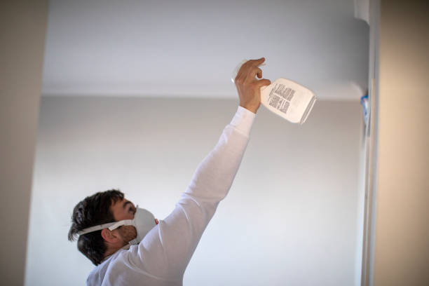 Best Post-Flood Mold Remediation in Bryans Road, MD